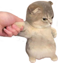 kitterhmph Discord emoji — free static PNG download