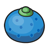 oranberry Discord emoji — free static PNG download