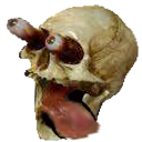 skull hungry Discord emoji — free static PNG download