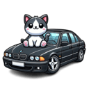 bmwe39cat Discord emoji — free static PNG download