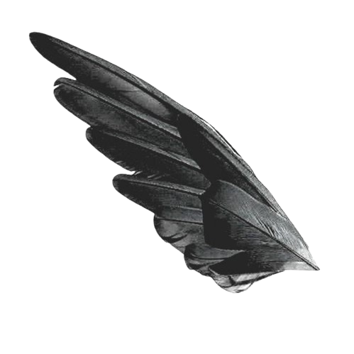 goth feathers Discord emoji — free static PNG download