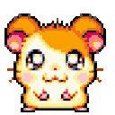 hamtarohappy Discord emoji — free animated GIF download