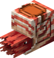 nautilus Discord emoji — free static PNG download