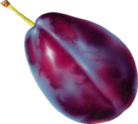 plum Discord emoji — free static PNG download