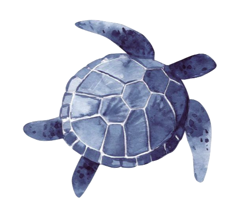 blueturtle Discord emoji — free static PNG download