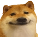 shiba Discord emoji — free static PNG download