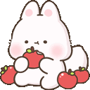 foxnomapples Discord emoji — free animated GIF download