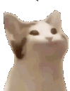 cat Discord emoji — free static PNG download
