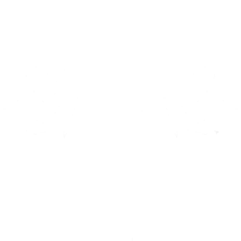 vanguard Discord emoji — free static PNG download