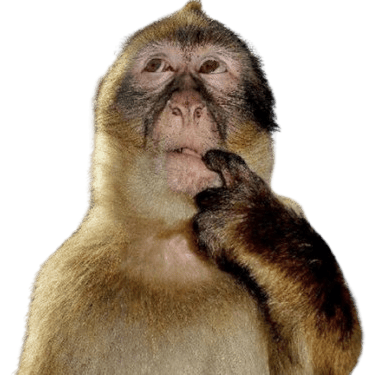 monkeythink Discord emoji — free static PNG download