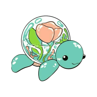 turtle pod Discord emoji — free static PNG download