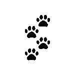 whitepaws Discord emoji - free download