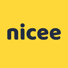 nicee Discord emoji — free static PNG download