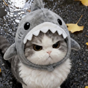 angysharkkitty Discord emoji — free static PNG download