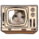 crycat Discord emoji — free static PNG download