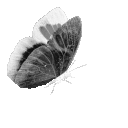 gothicbutterfly Discord emoji - free download