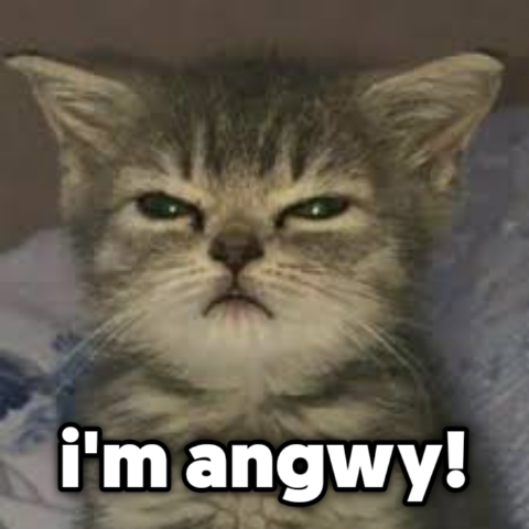 angwy Discord emoji — free static PNG download