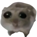 hamster sad Discord emoji — free static PNG download