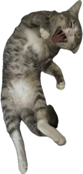 lpjoey Discord emoji — free static PNG download