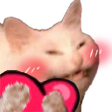 cat heart Discord emoji — free static PNG download