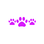 purplecatpaws Discord emoji - free download
