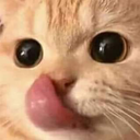 catlust Discord emoji — free static PNG download