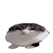 wawa animated Discord emoji — free animated GIF download