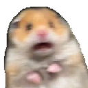 scaredhampter Discord emoji - free download