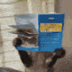 monkey reading Discord emoji — free animated GIF download