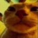 orange cat stare Discord emoji — free static PNG download