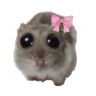 hampterpls Discord emoji — free static PNG download
