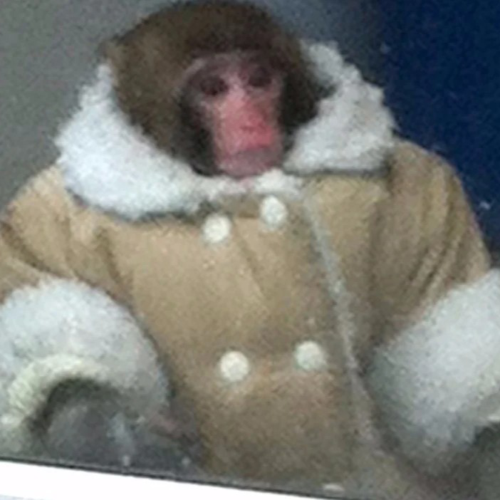 confused monkey Discord emoji — free static PNG download