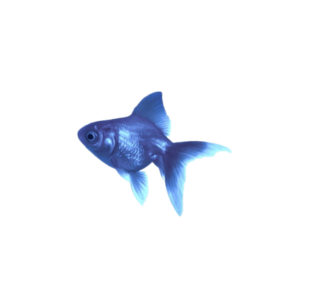 blue fish Discord emoji — free static PNG download