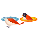 portal bird Discord emoji — free animated GIF download