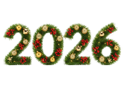 happy new year 2026 Discord emoji — free static PNG download