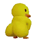 duckass Discord emoji — free animated GIF download