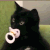 baby kitty Discord emoji — free animated GIF download