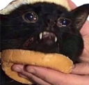 cat burger Discord emoji — free static PNG download