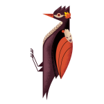hades bird Discord emoji — free animated GIF download