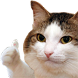 thumb Discord emoji — free static PNG download