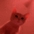 madcatvibin Discord emoji — free animated GIF download