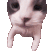 catkiss Discord emoji — free animated GIF download
