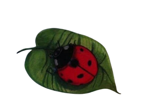 ladybug leaf Discord emoji — free static PNG download