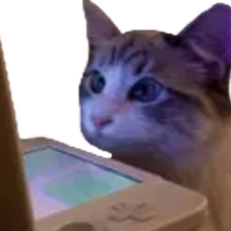 catds Discord emoji — free static PNG download