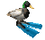 duckwithflippers Discord emoji - free download