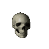 spinningskull Discord emoji — free animated GIF download