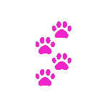 pinkpaws Discord emoji - free download
