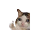 catthumbsup 3 Discord emoji — free static PNG download