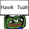 hawk tuah Discord emoji — free static PNG download