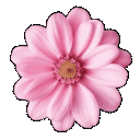 pinkflowergif Discord emoji — free animated GIF download